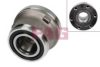 FAG 713 6908 50 Wheel Bearing Kit